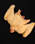 Ali di pollo paglierino unite