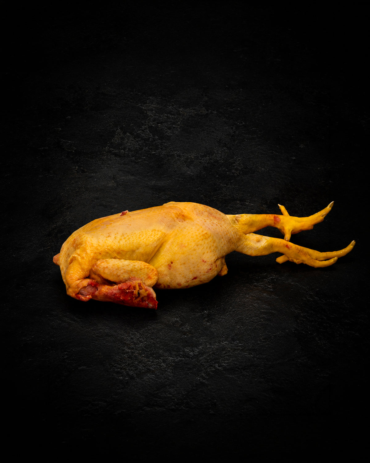 Busto-Testa-Zampe di pollo