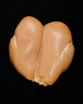Petto di pollo paglierino intero