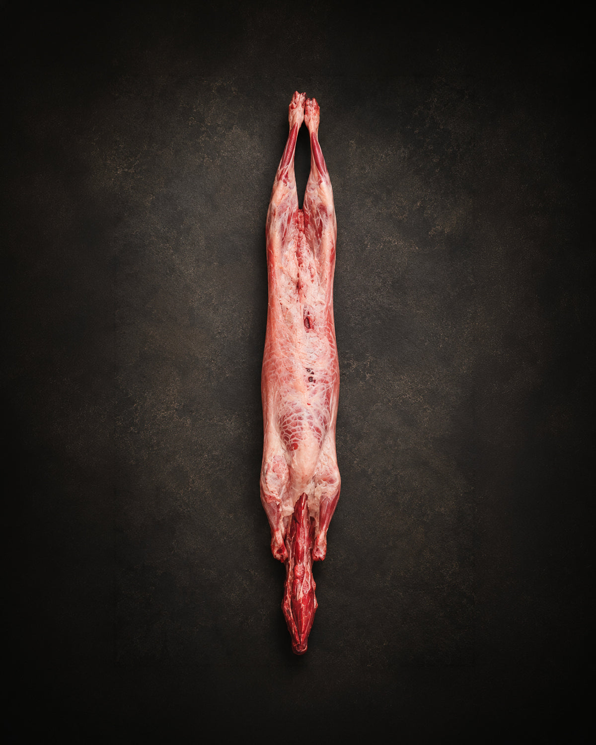 Agnello Lattante cat. 9-11