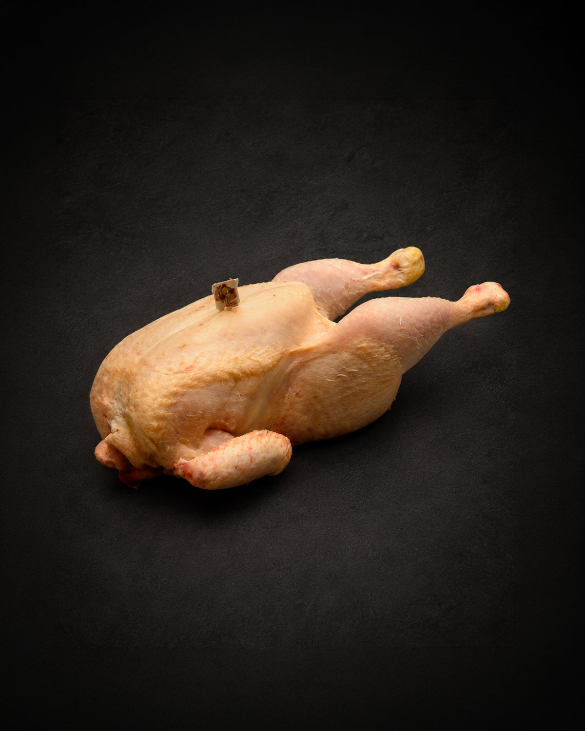 Busto 2300/2500