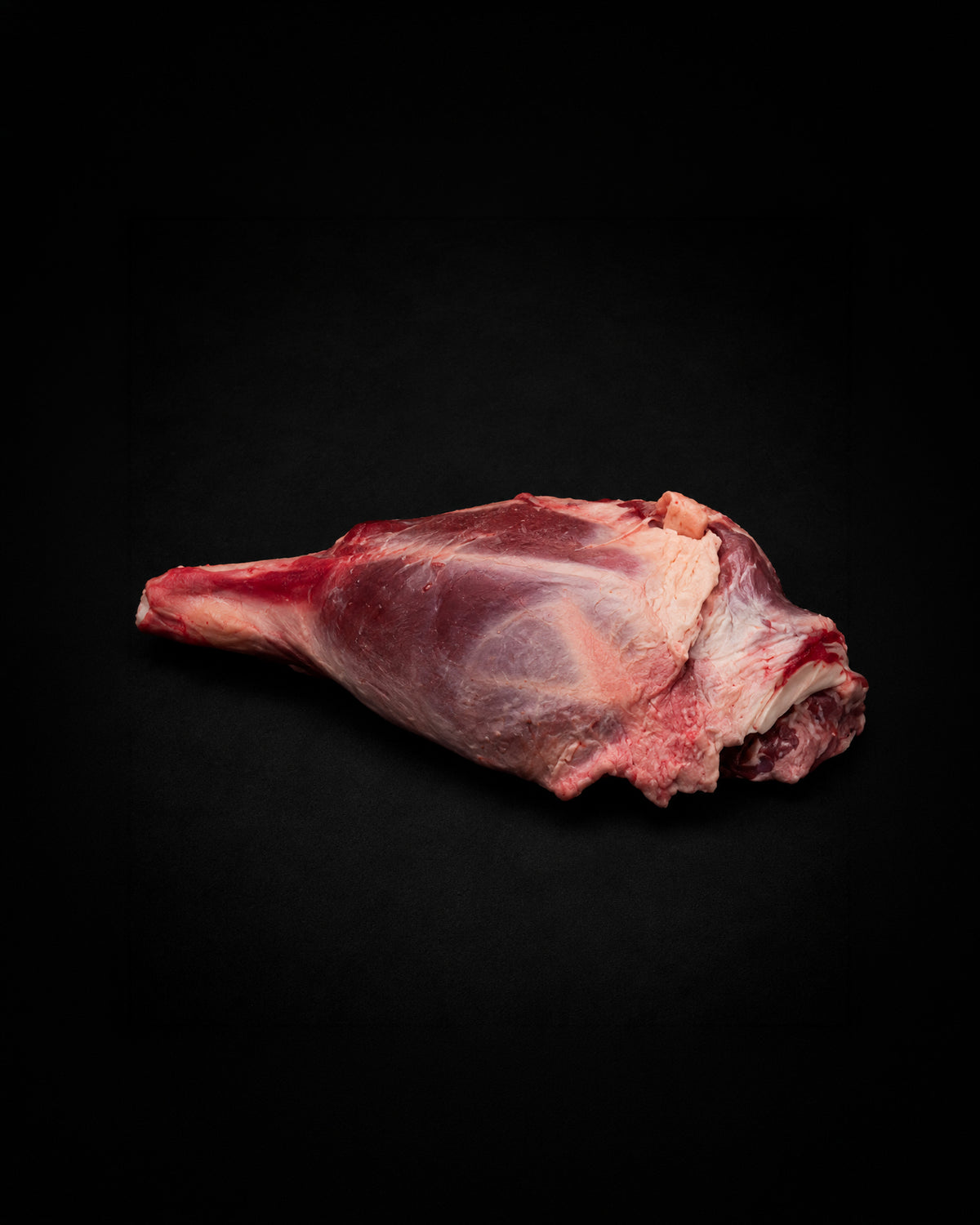 Hind muscle of a colt