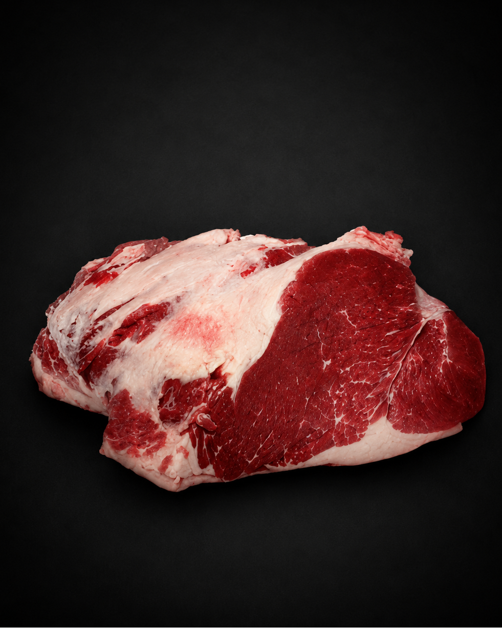 Horse silverside